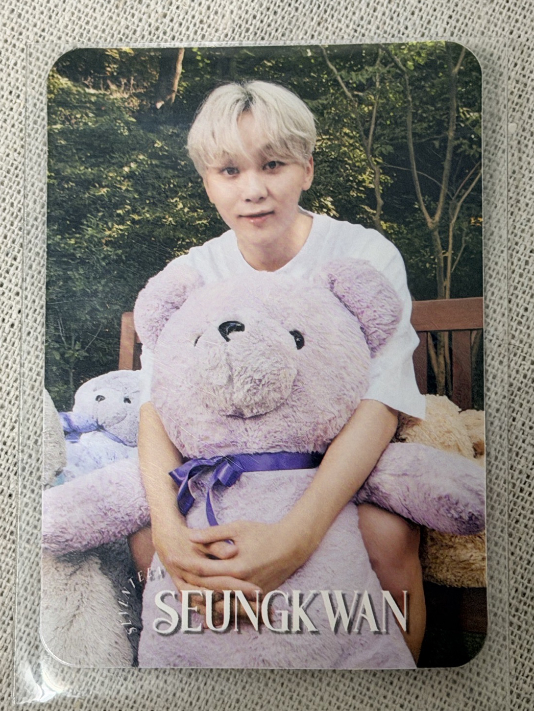 SEVENTEEN 勝寛 21 Dicon 雜誌卡 單封雙面卡 抱熊寛