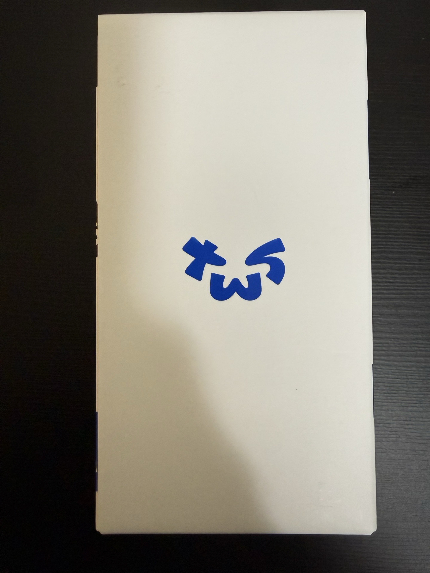 TWS手燈 全新未拆