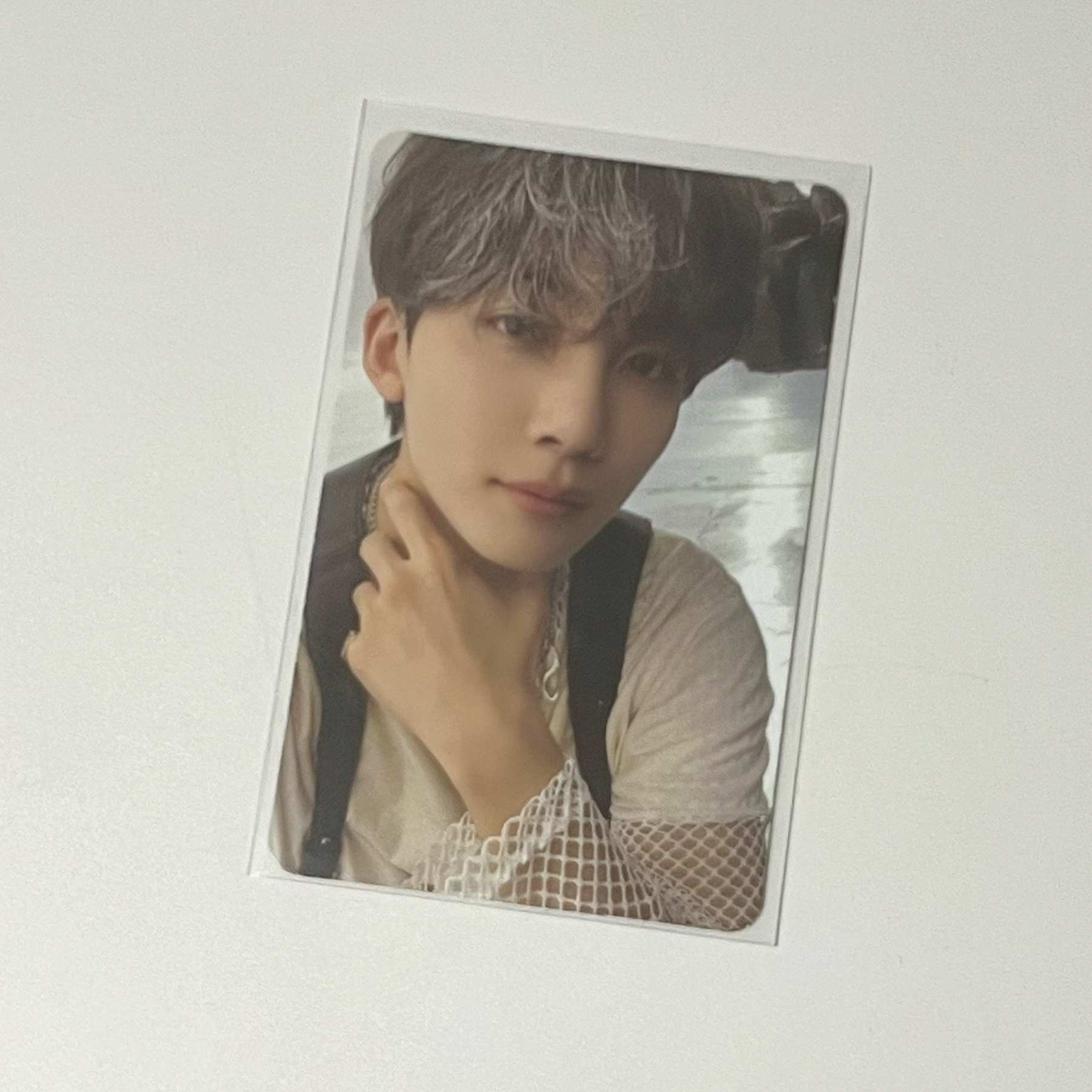 🐰淨淨 正四ep5專輯卡