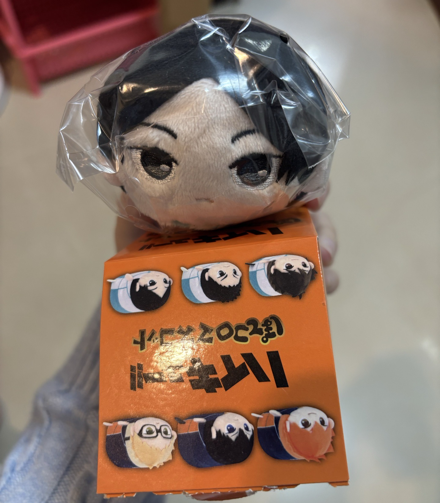 排球少年 國見ML趴娃 