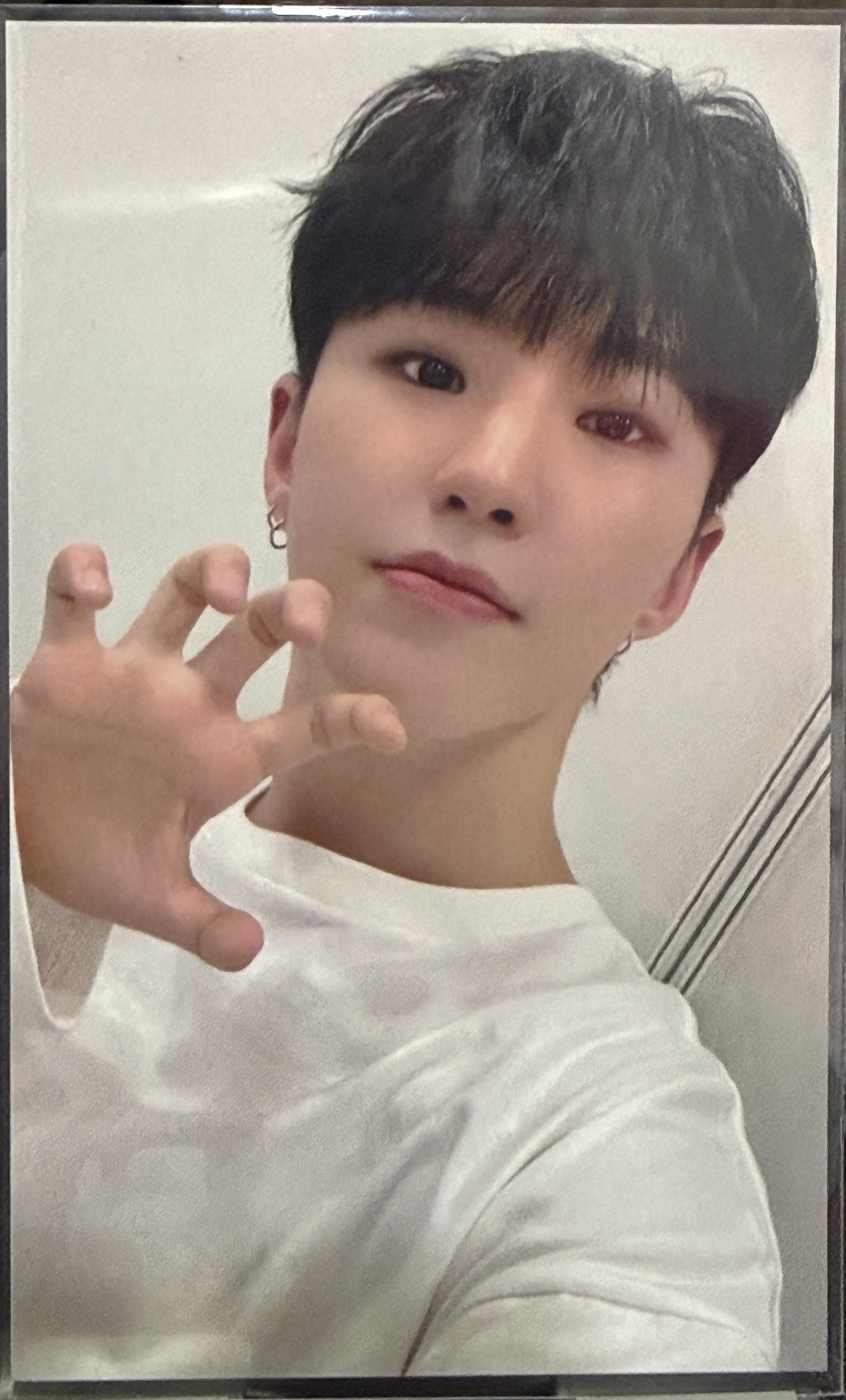 榮🐹迷11 感謝祭1.0 環球