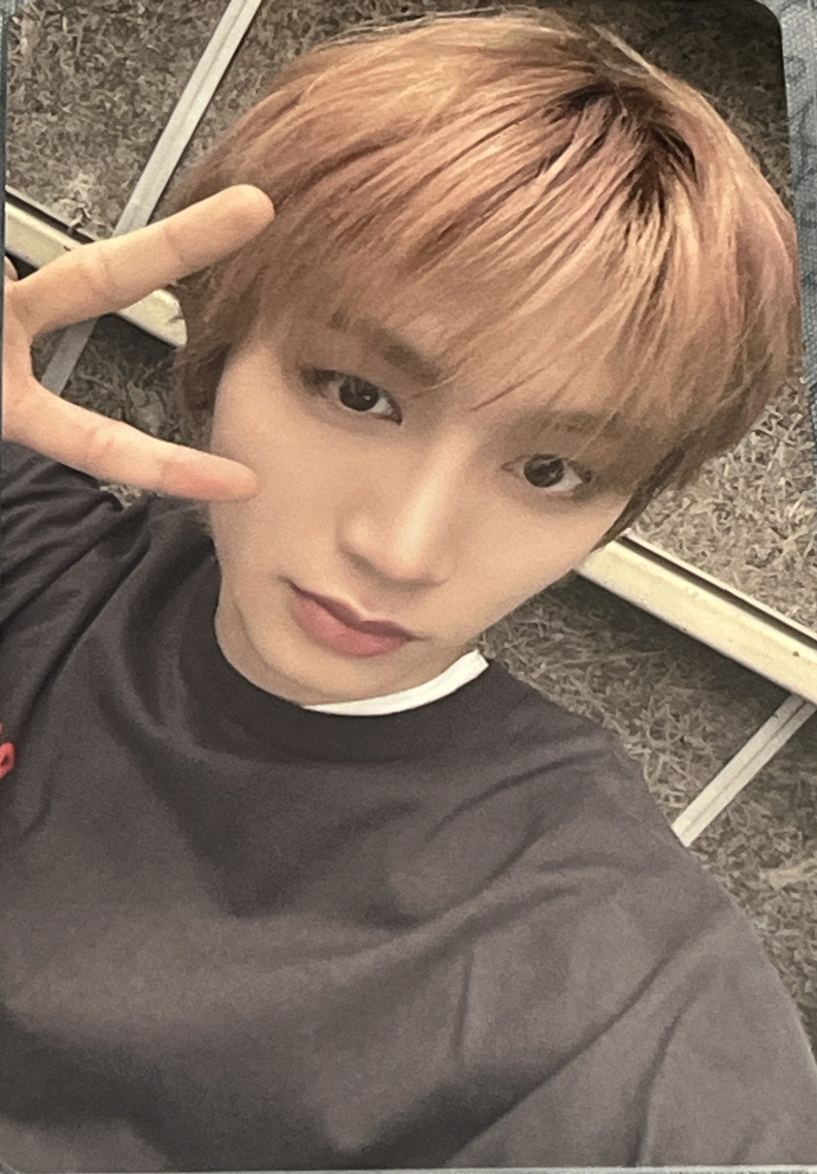 Knock On巡迴 日安入場卡 zone卡