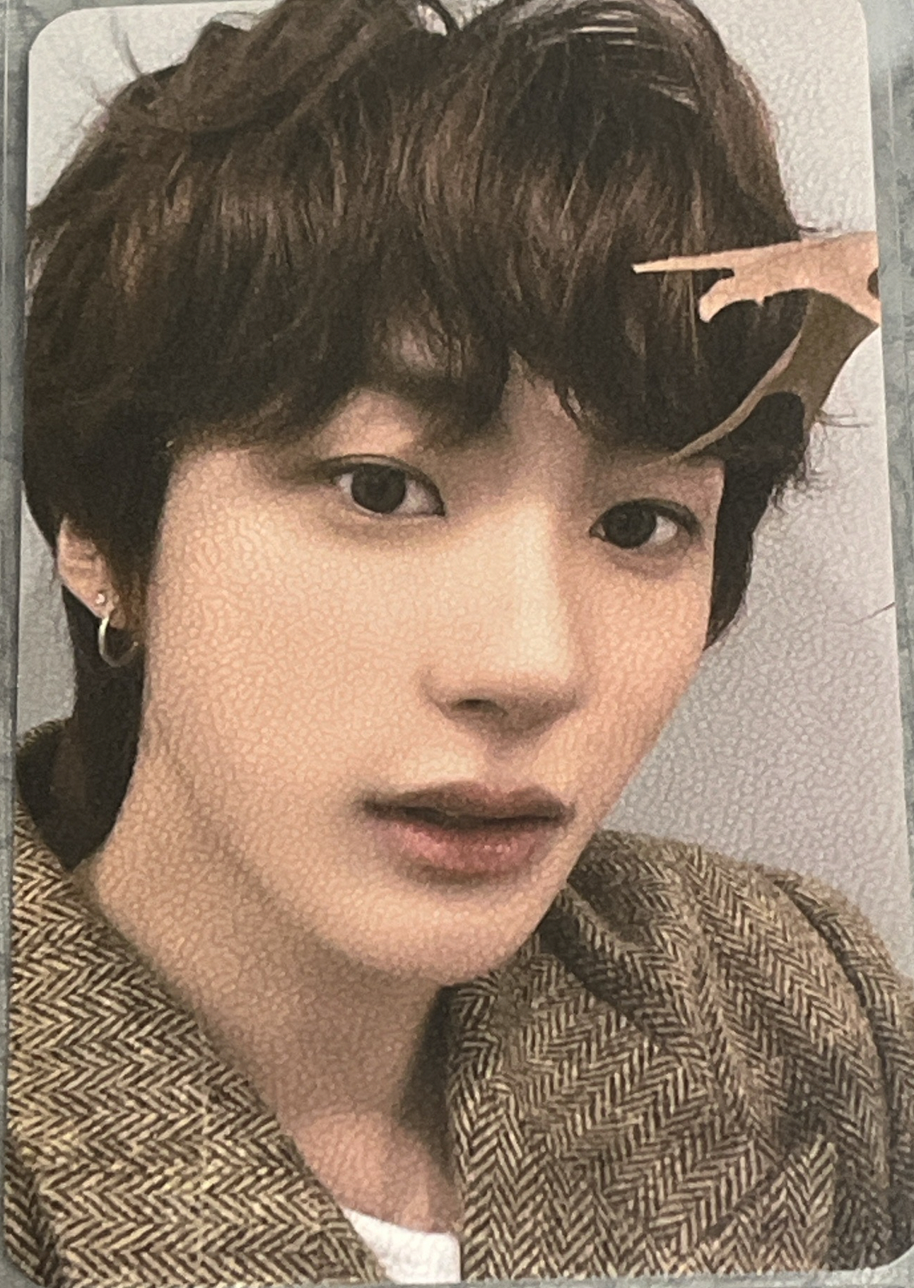 Talk Saxy mp 簽售卡 楓葉安 李安桶