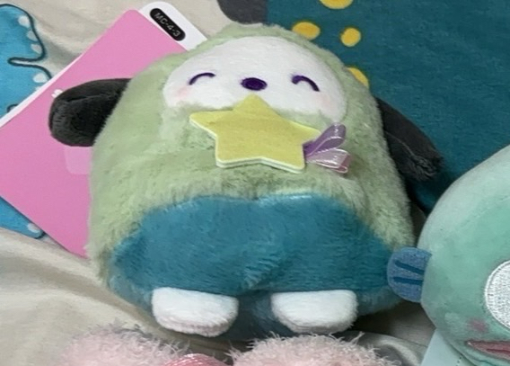 幽靈帕恰狗（全新有牌）