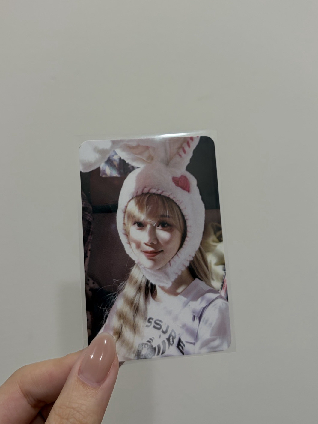 電影滿額 兔子冬🐰