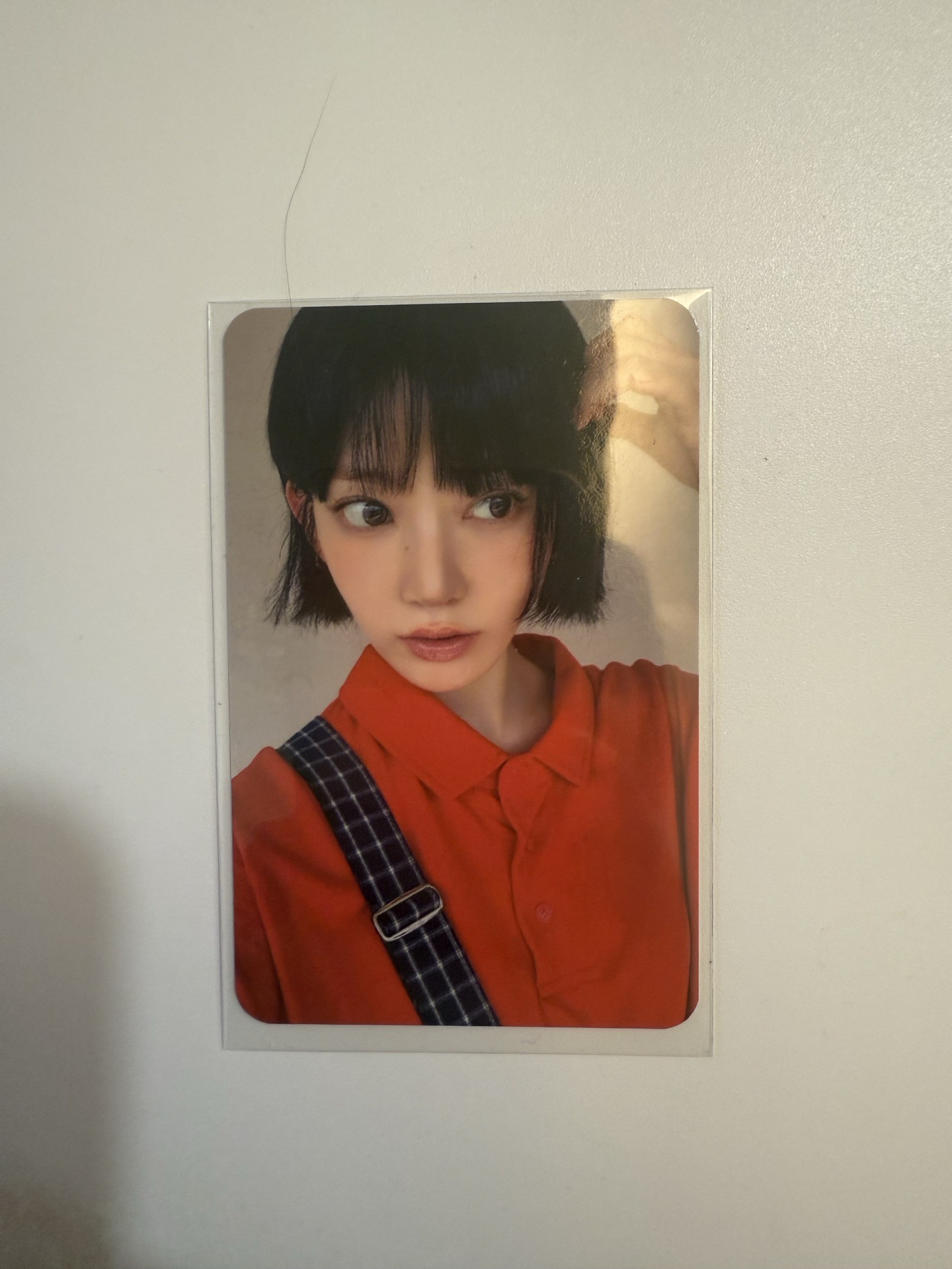 SPAGHETTI阿拉丁預售特典