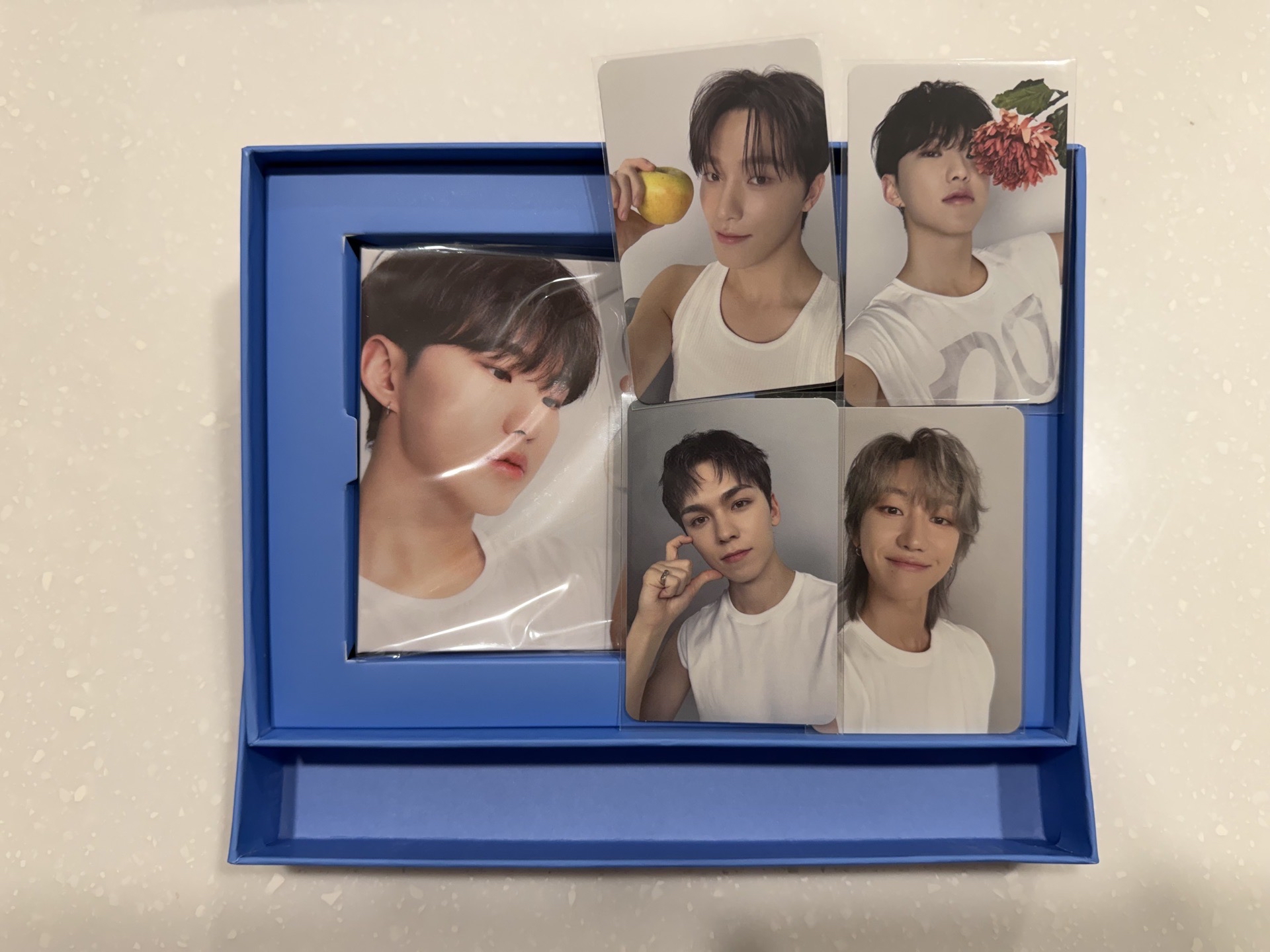 榮親愛盤-榮八率燦