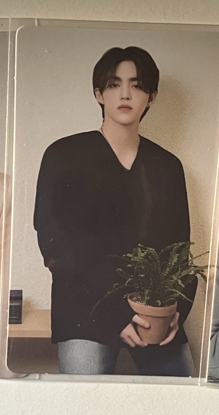 🍒24年克拉島隨機卡