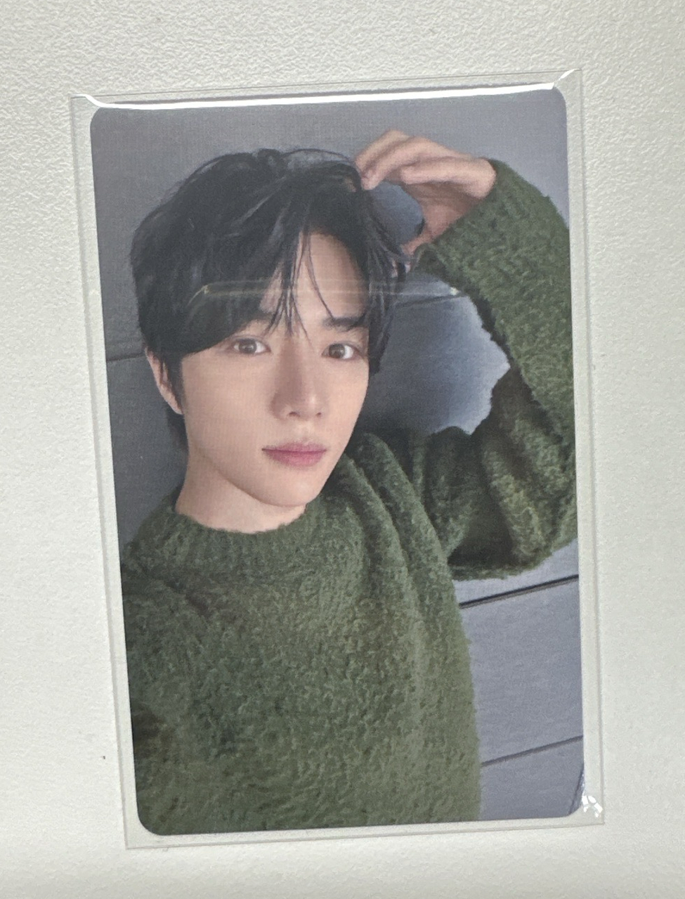 Panic 環球特典圭