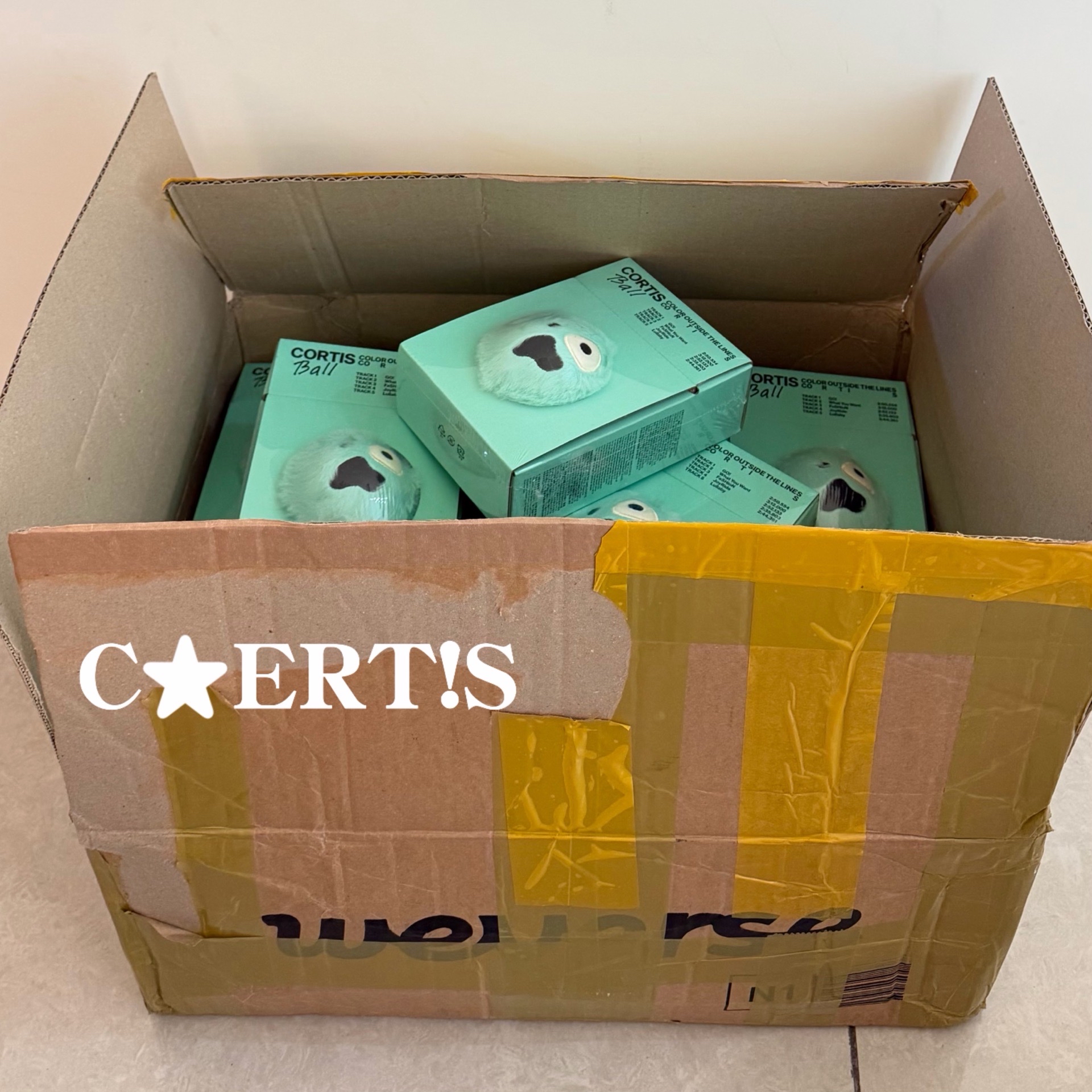 Cortis ball球專現貨