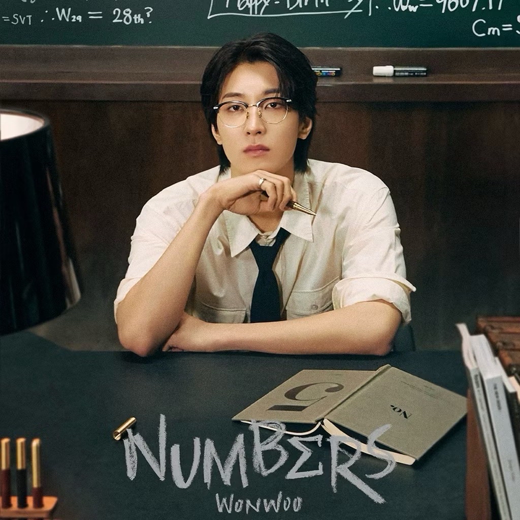 Seventeen Wonwoo圓佑2025生日禮盒全新未拆