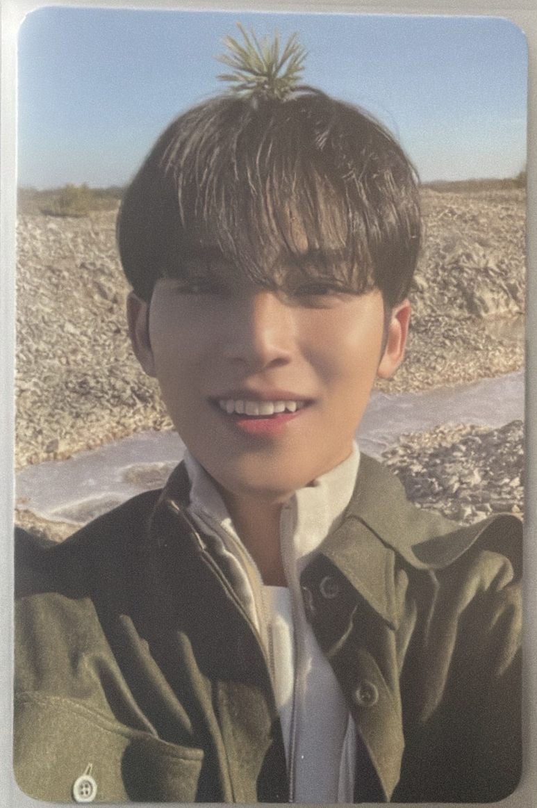 頂草奎（綁$200）/直出$350