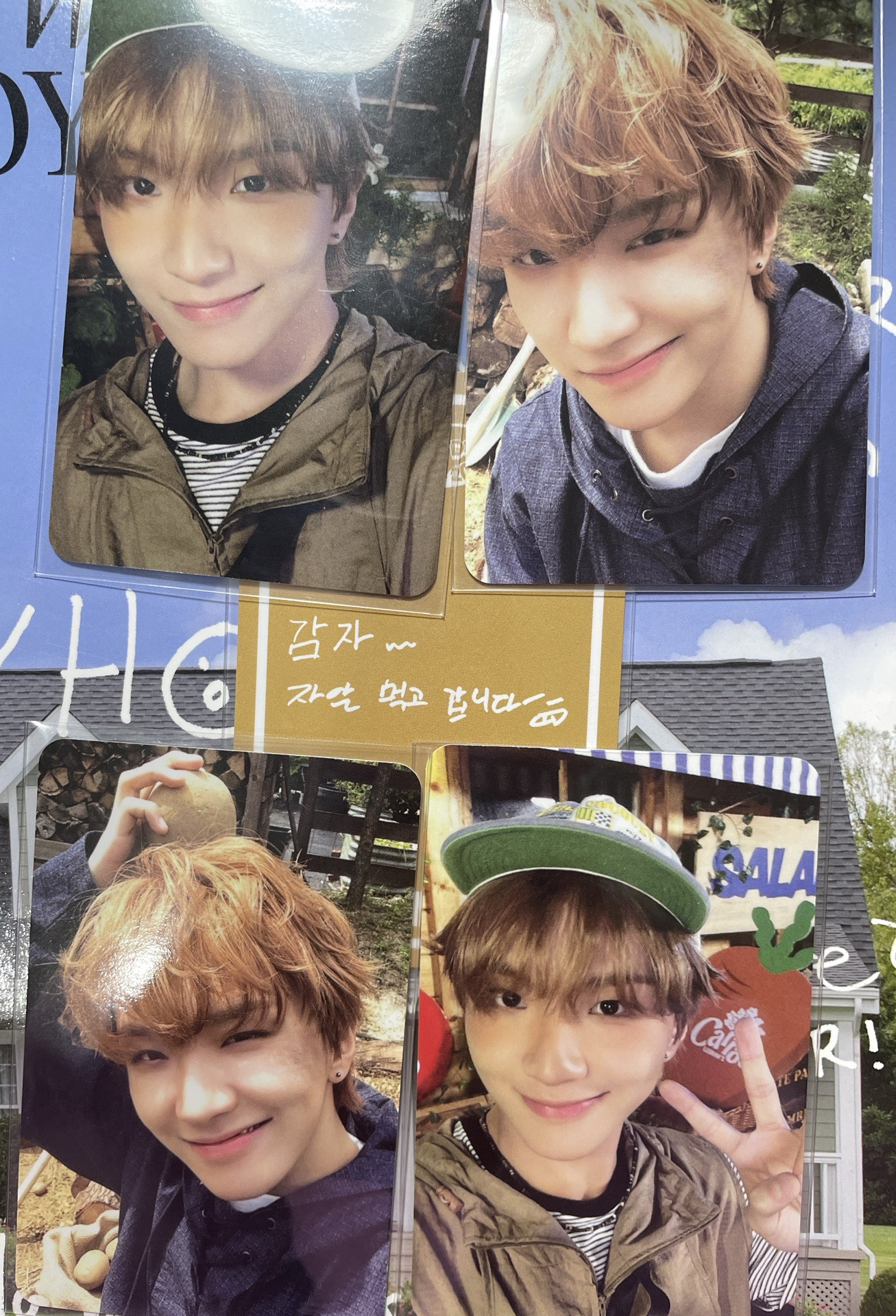 2026馬鈴薯兩點一線一套