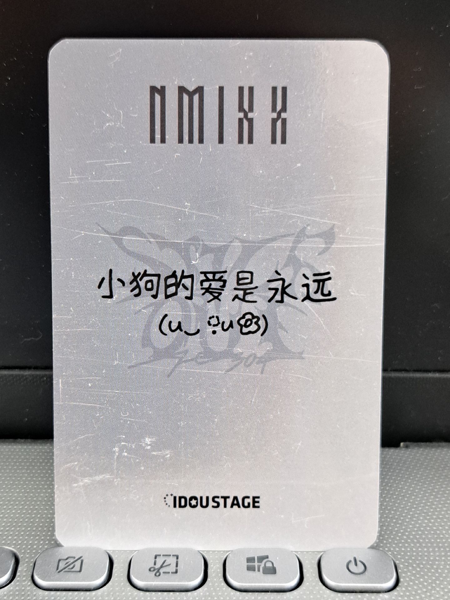 愛豆驛站友 小狗的愛是永遠