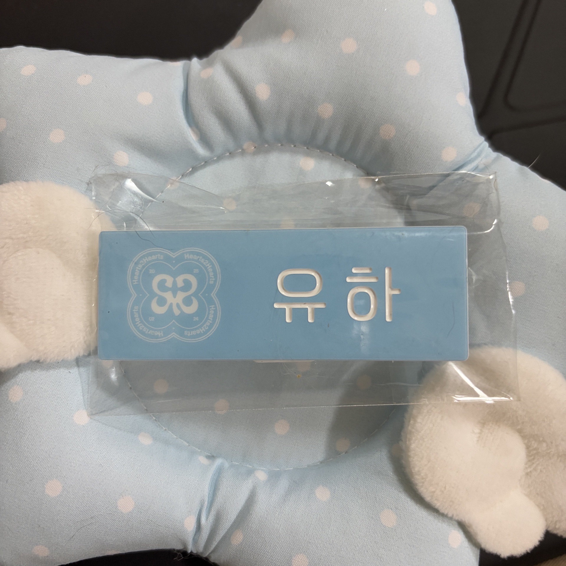 柳河覽 yuha sm town 2025 隨機姓名牌