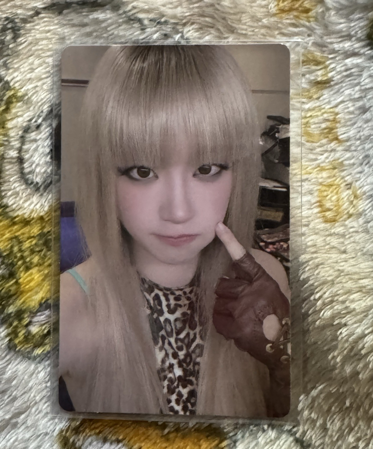 We are wvs 線上1.0 琦