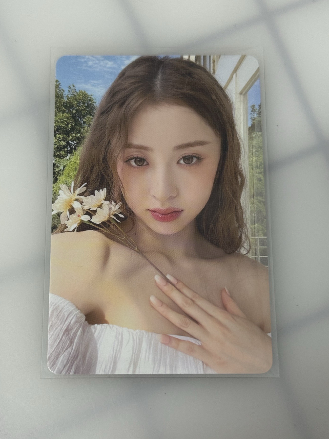 許允真 雙面小卡 