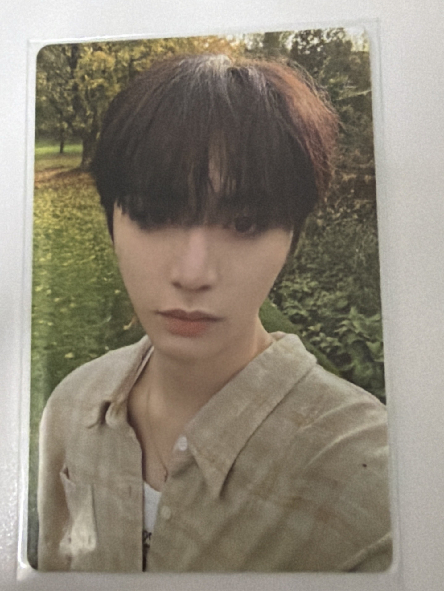 HOW? 專輯卡 Wind ver.