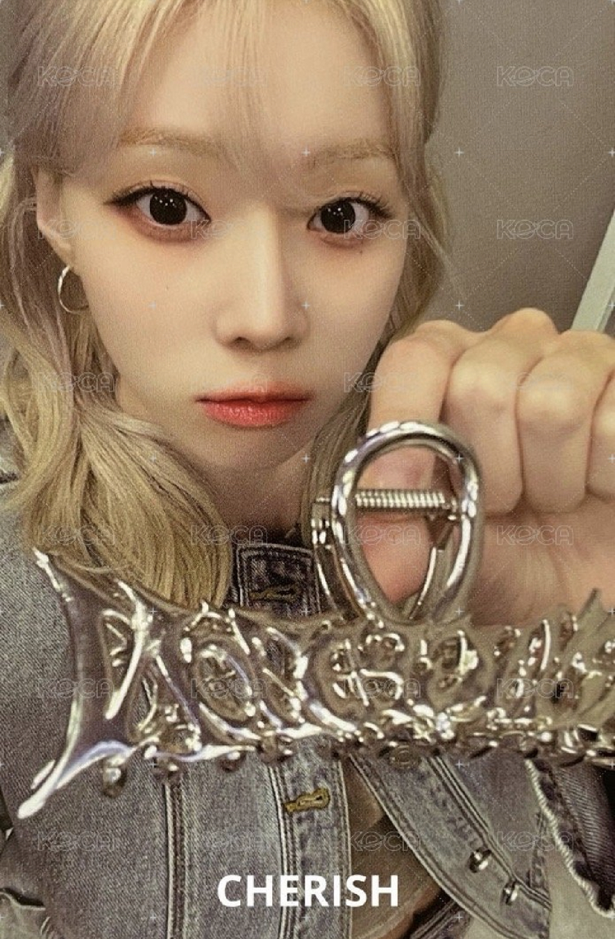 正規一 周邊卡 快閃鯊魚夾冬