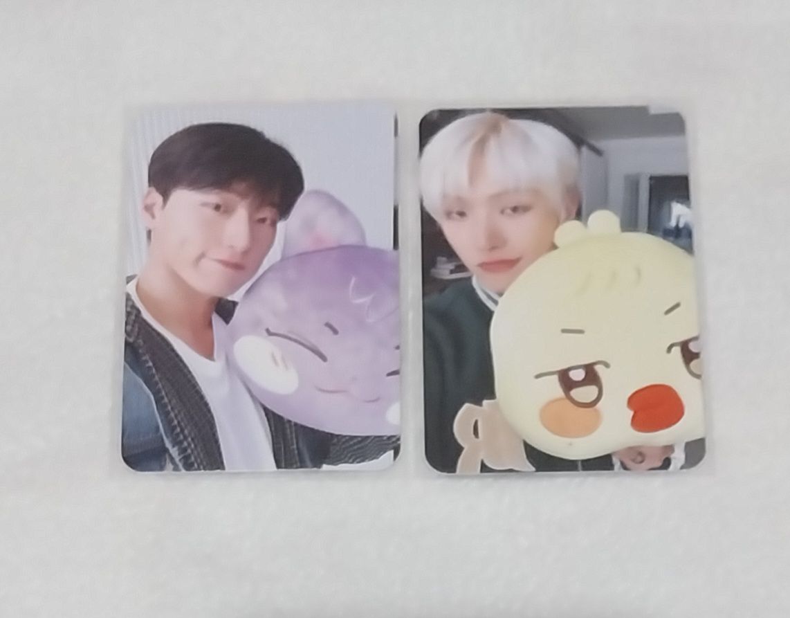 IN ICE CITY 抱枕雙面卡