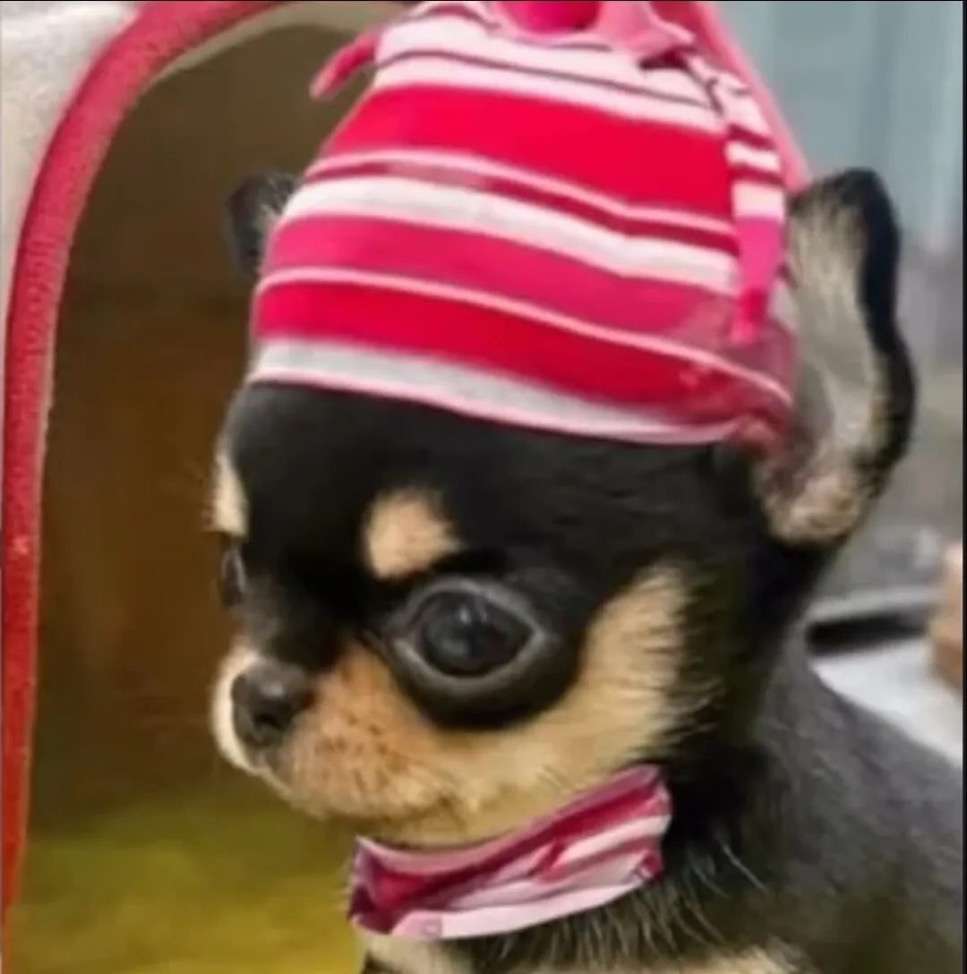 姜