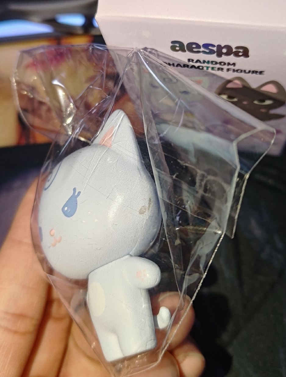 盲盒柚（側邊有損）