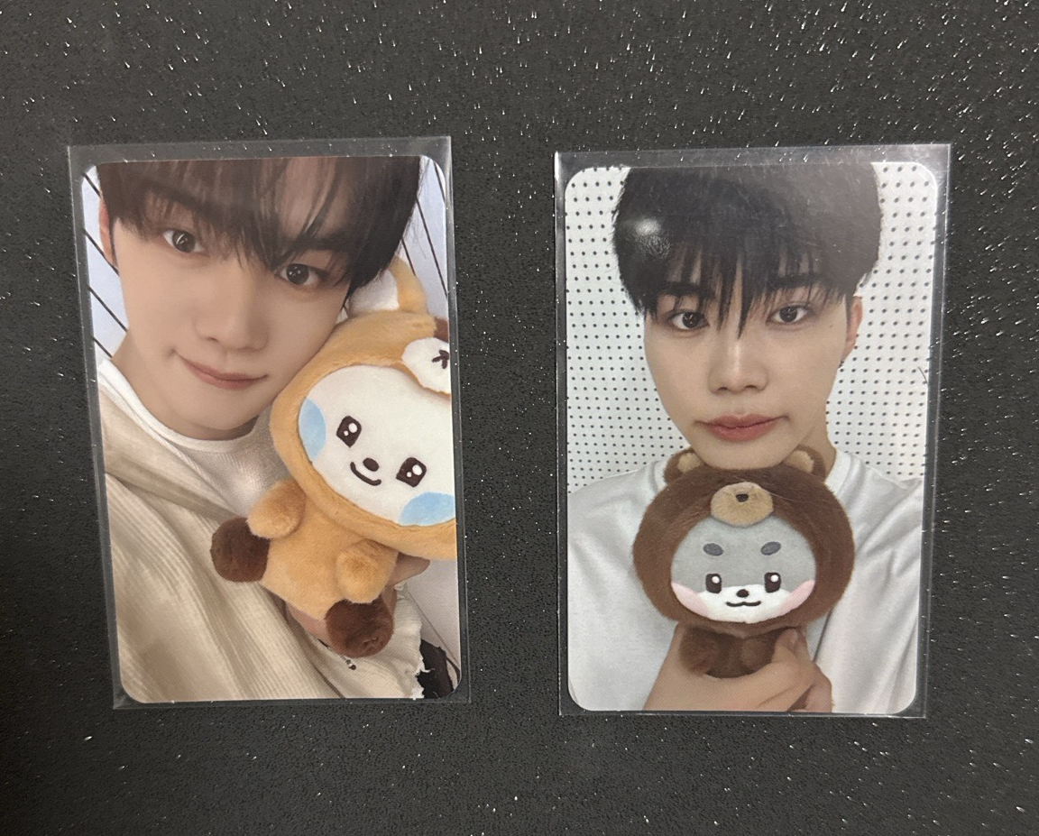 ZB1｜zeroni 滿額卡 FLUFFY Wonderland 奎旭