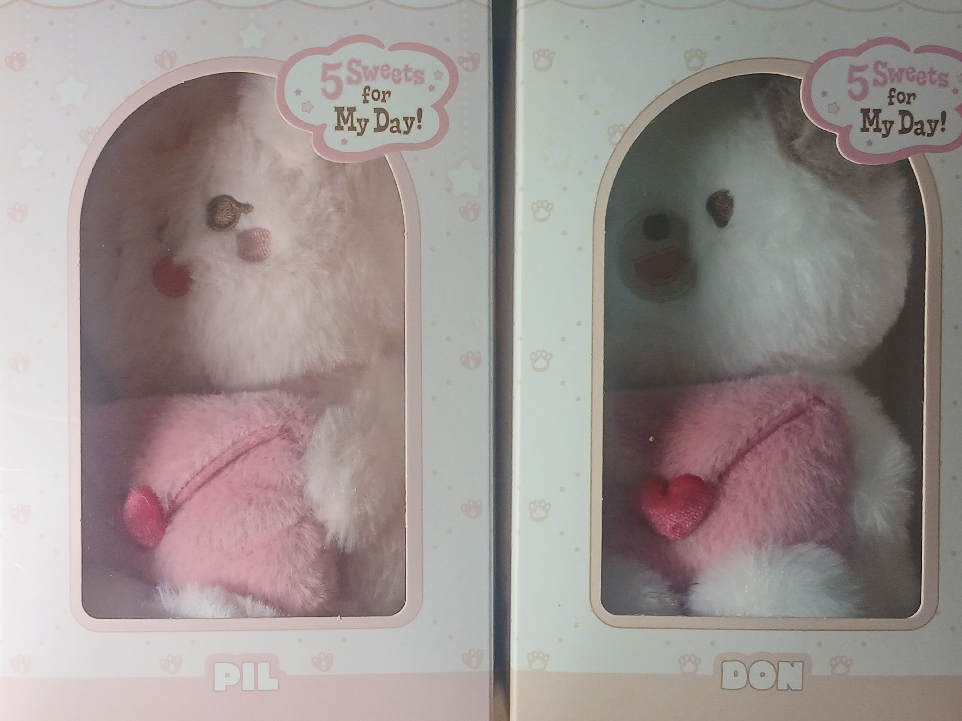 Day6語音娃（Pil Don）