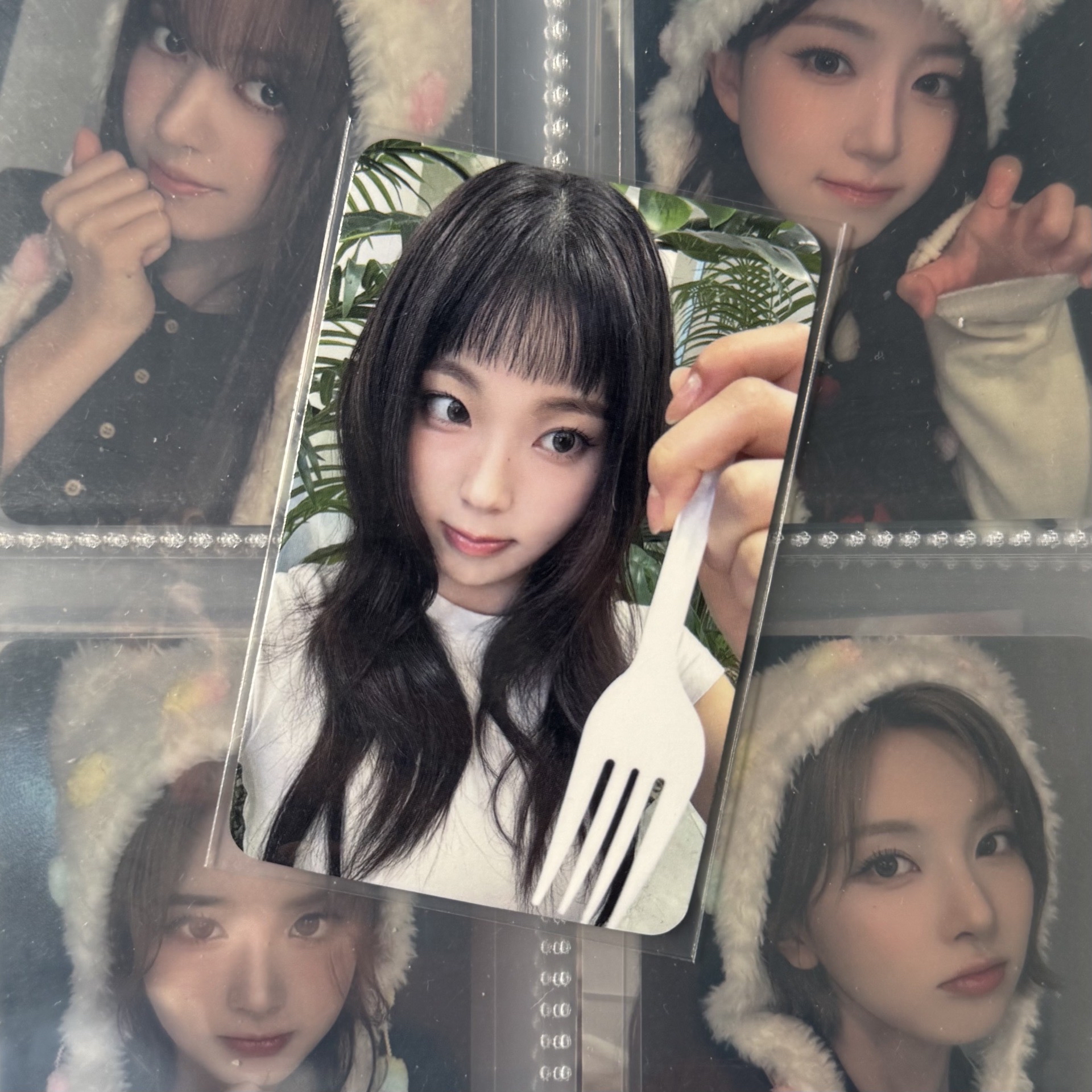 🪼STICK OUT mmt禮儀 圭