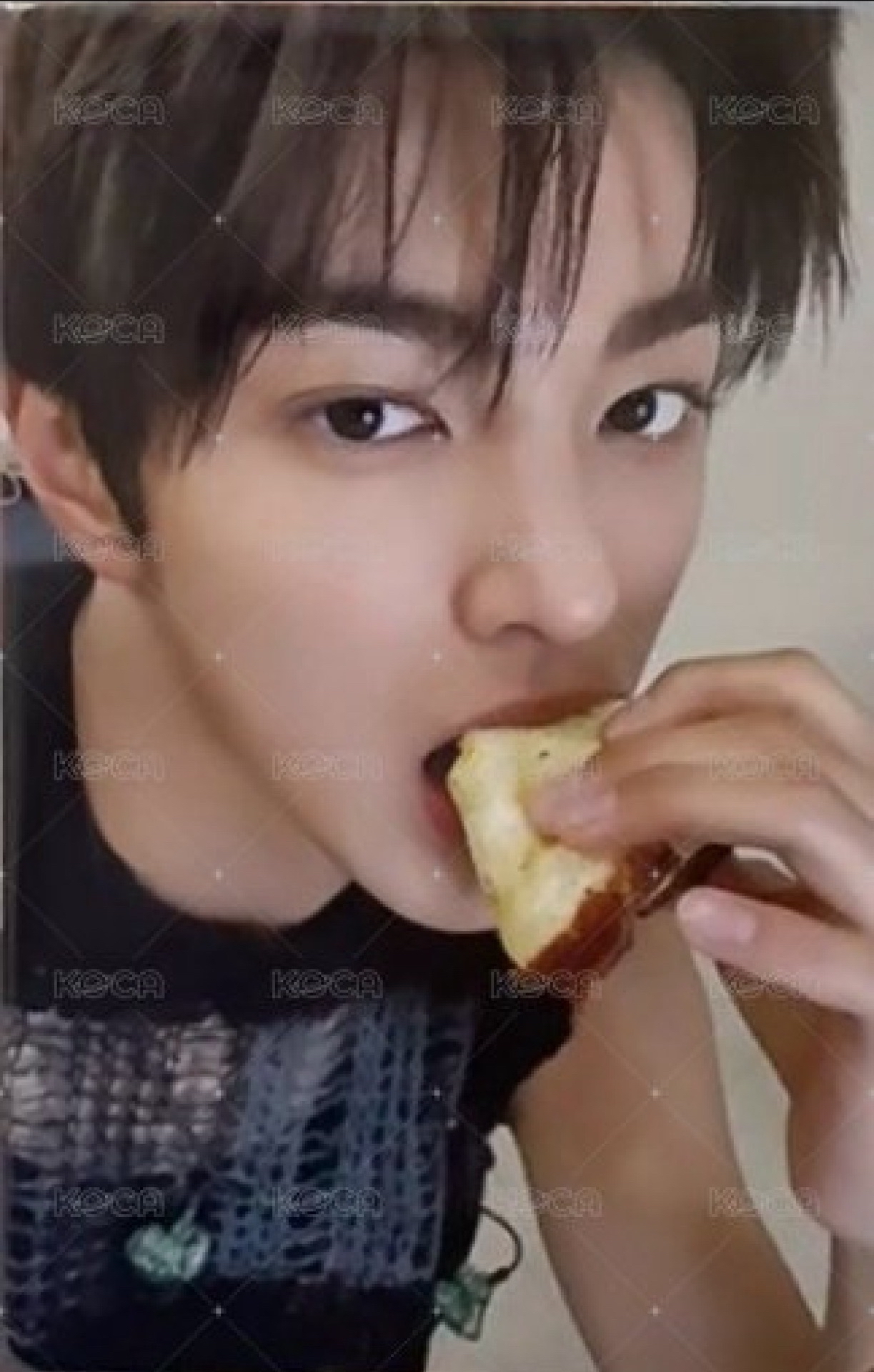 日咖鎬+s2 玹全專