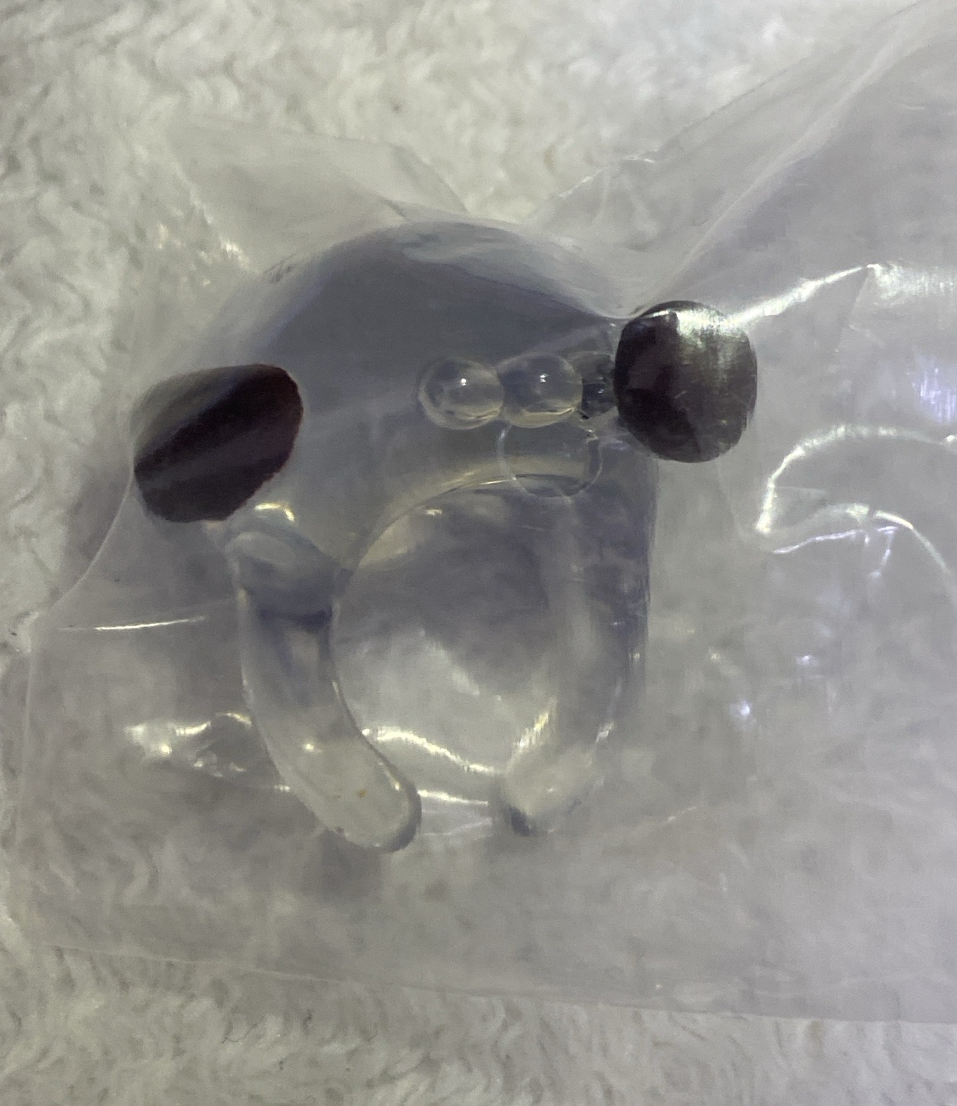 帕恰狗 戒指扭蛋