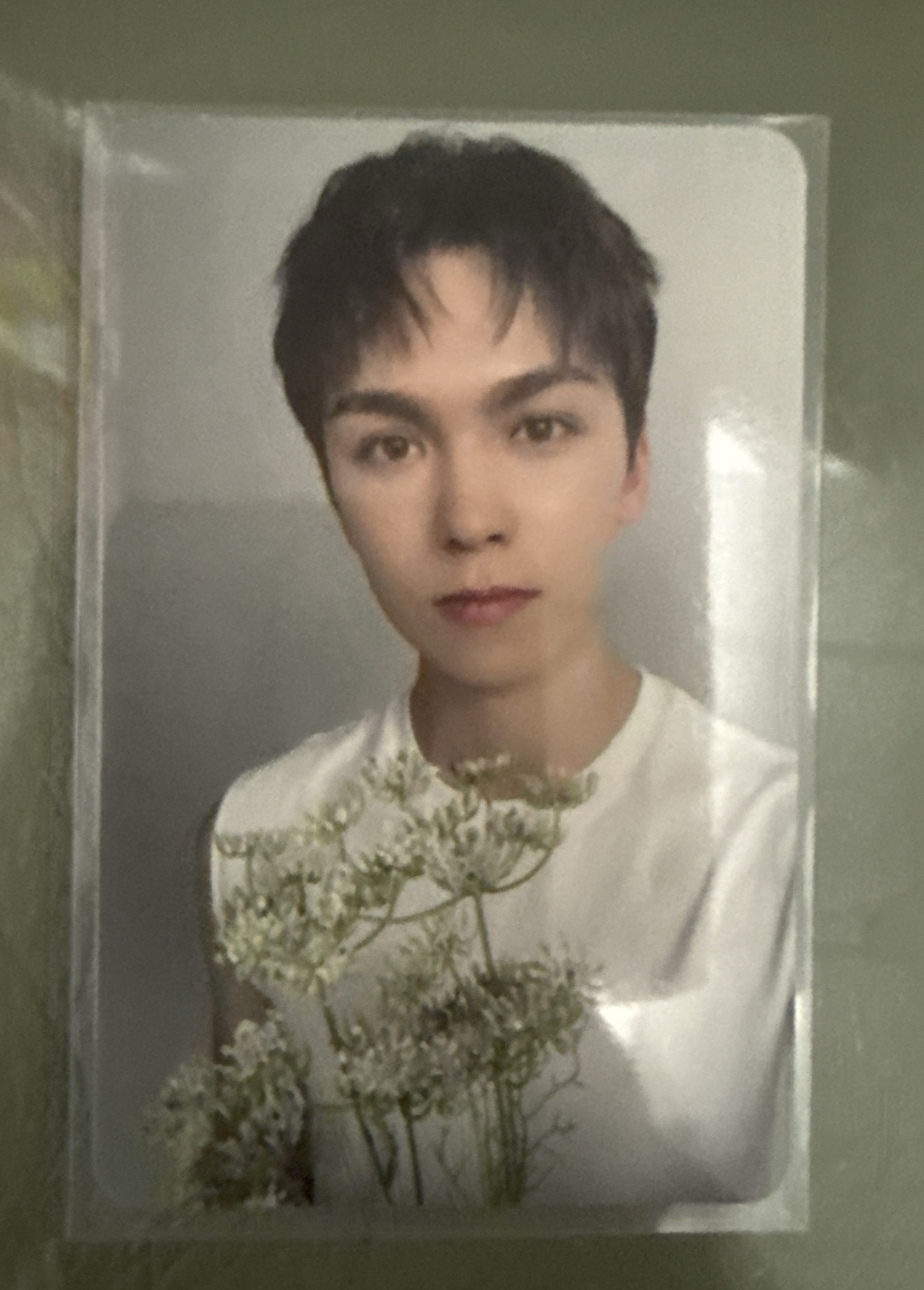 17 is right here專輯/特典卡