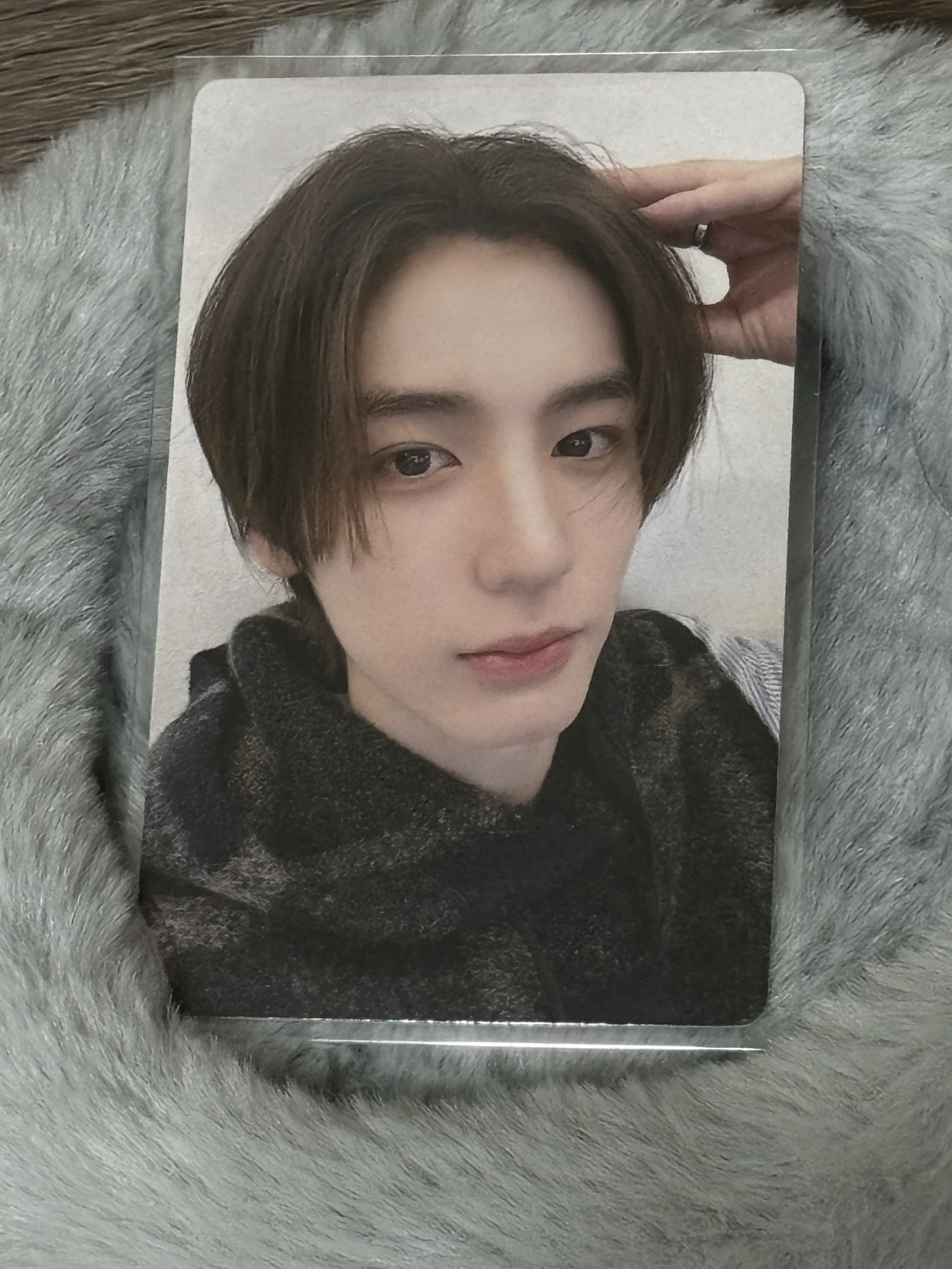 我儇你 中文卡背