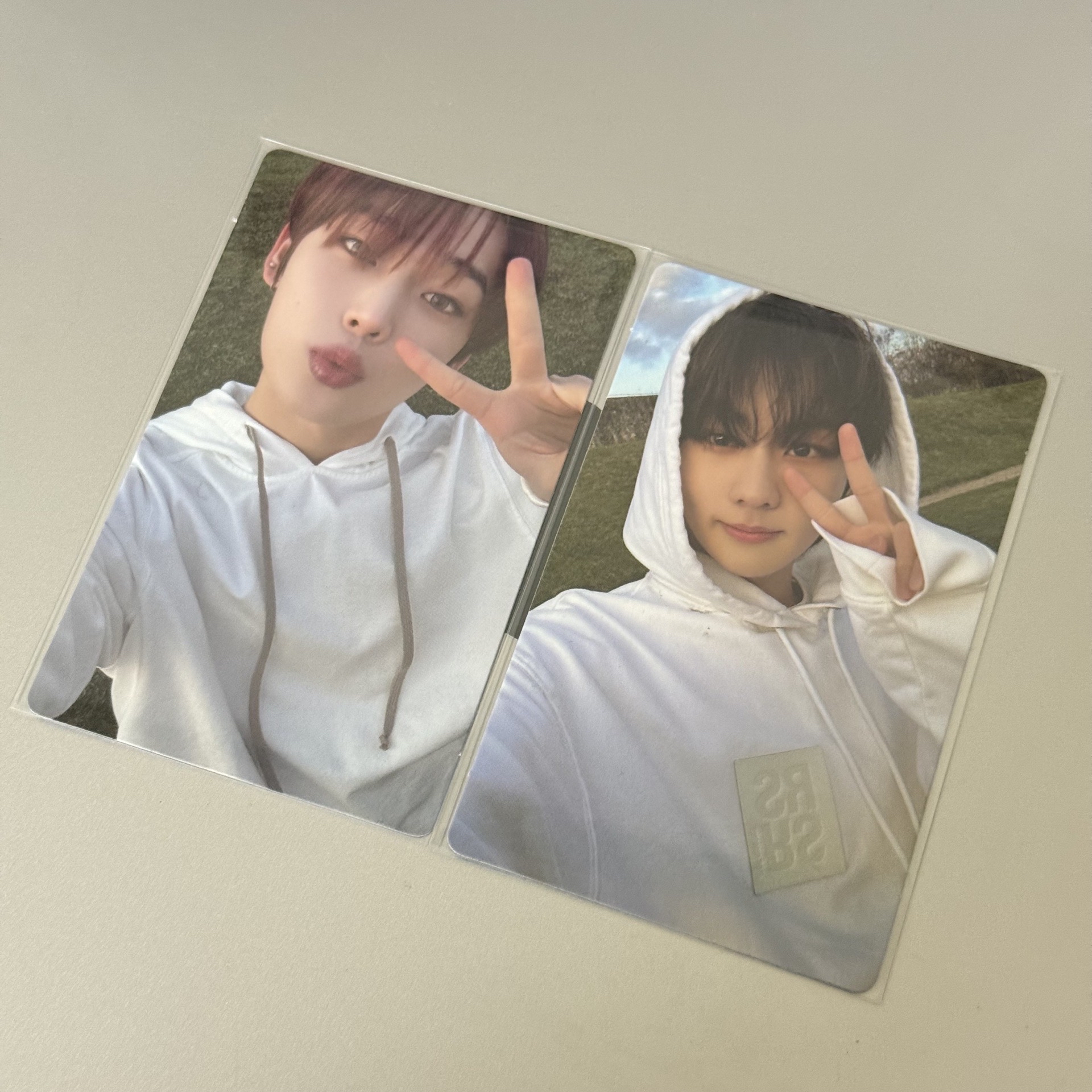 迷四 wvs專卡 - 善禹、禎元