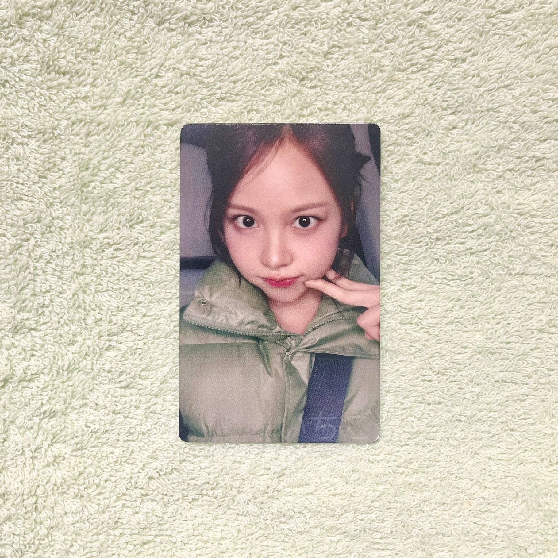 Carmen🌴FOCUS JP簽售特典