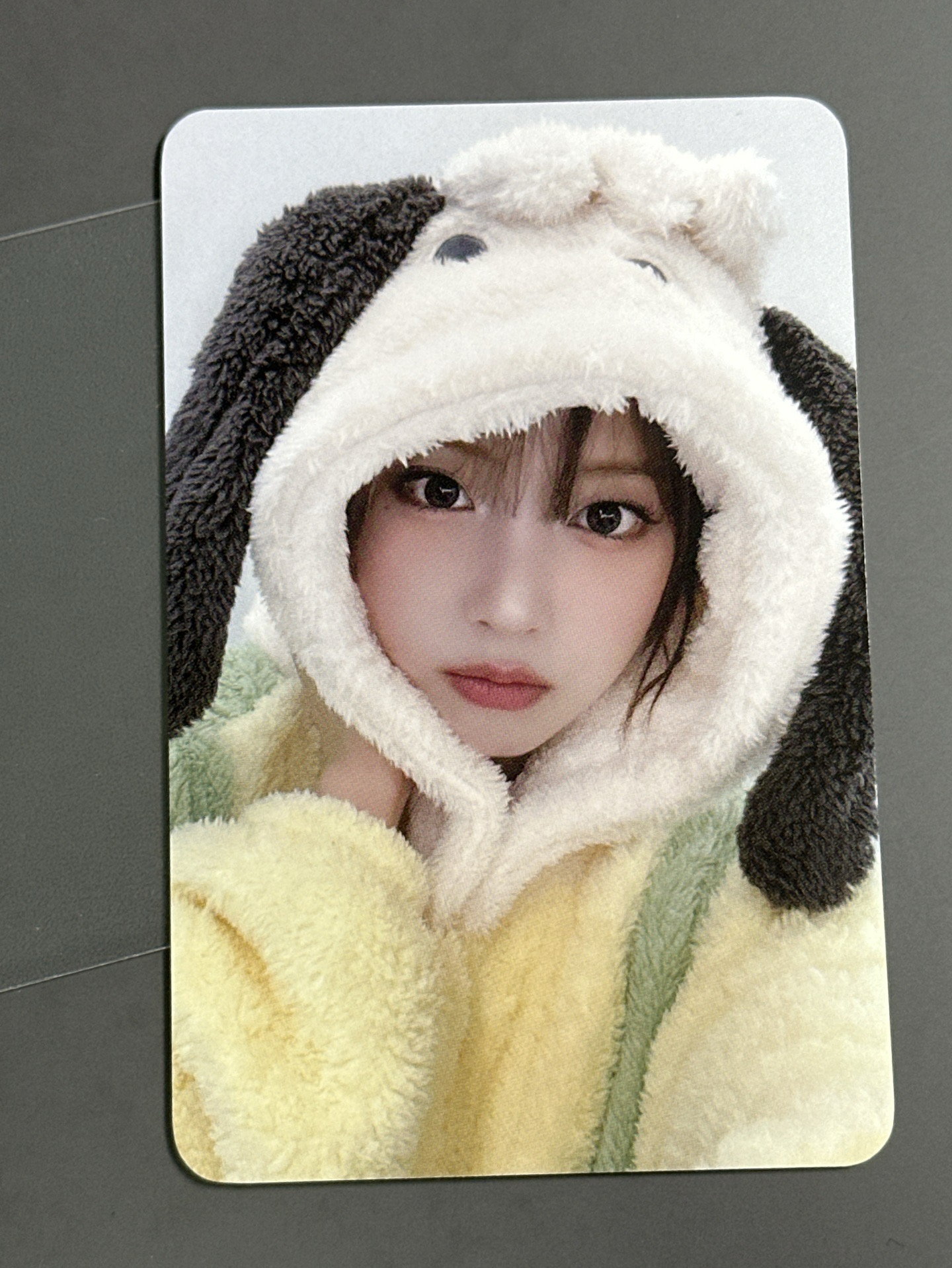 NMIXX ms動物睡衣友