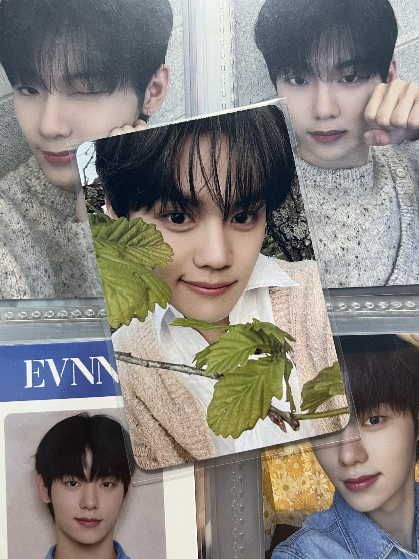 愛狗協會吃菜菜