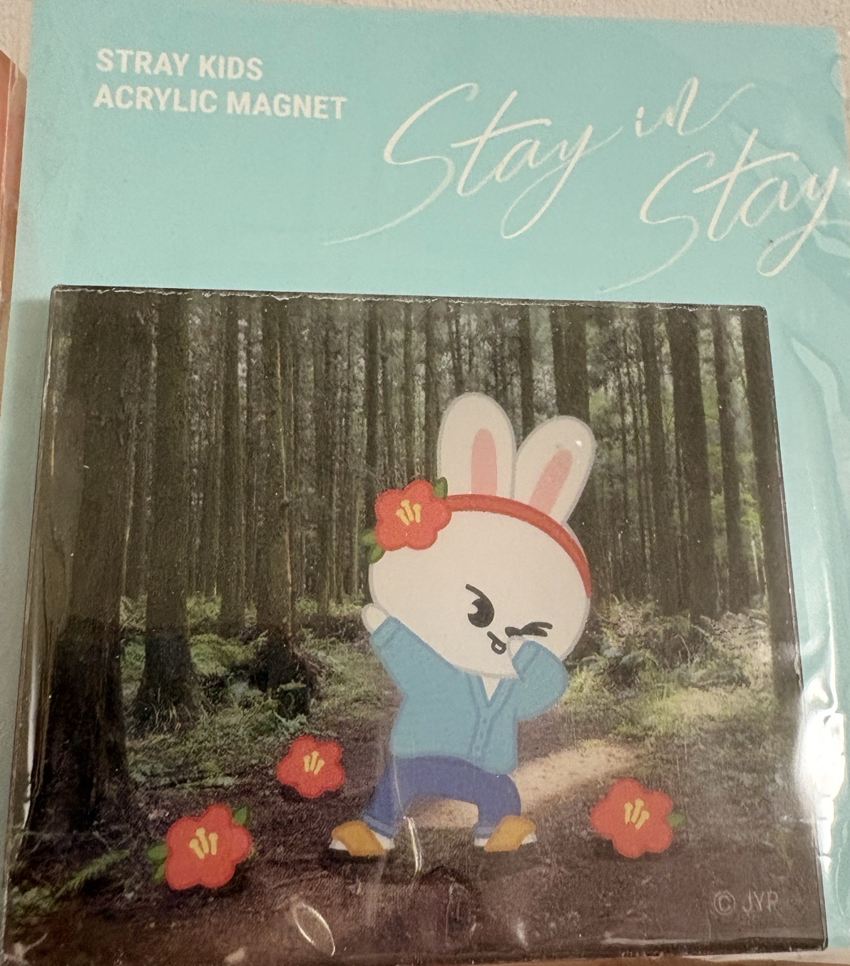 stray kids leebit 磁鐵及氣球