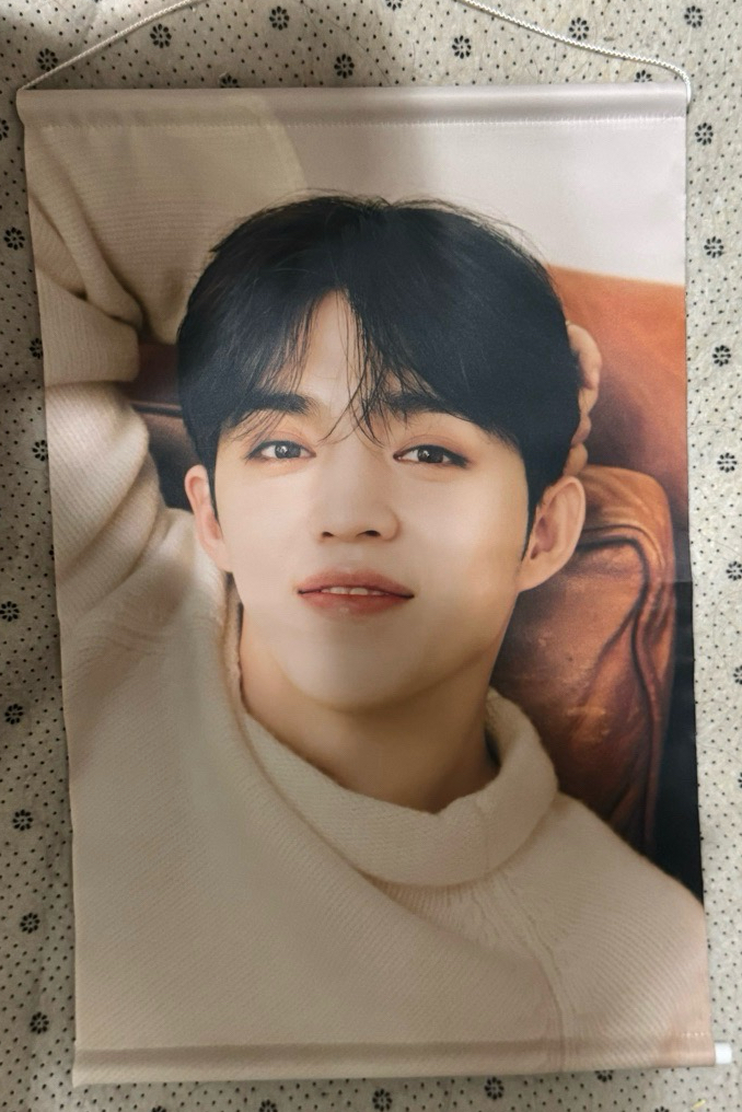 seventeen 2021 日周 絕版 scoups 崔勝哲 home 掛軸 掛布