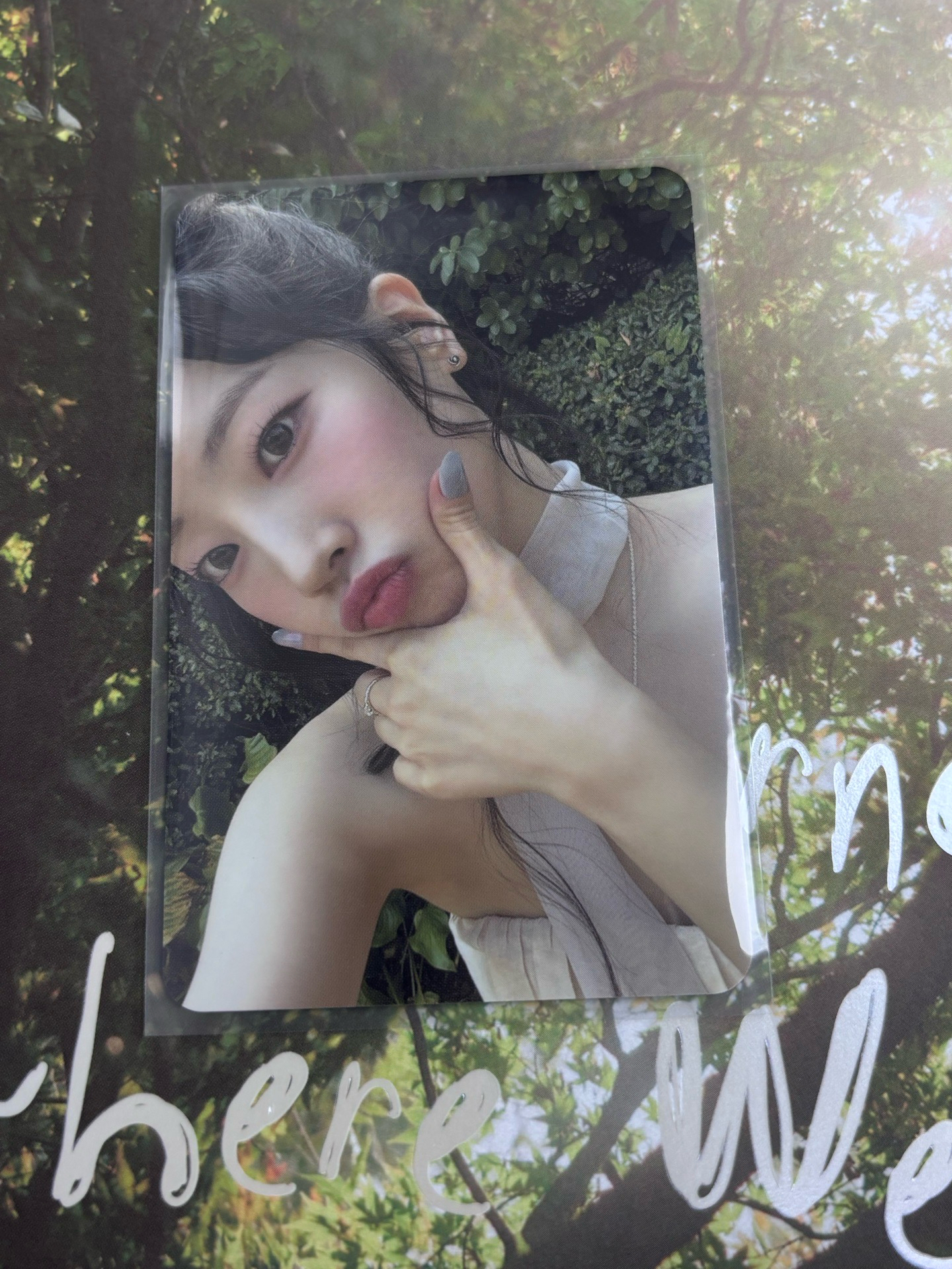 With YOU-th 專卡 多賢