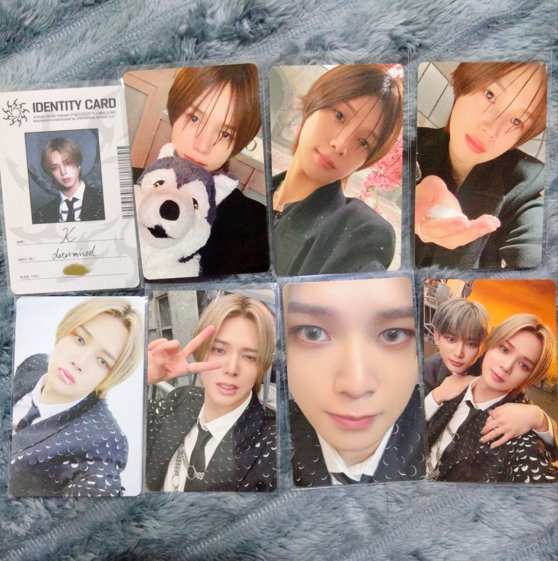 &TEAM | K 圖出  月狼 雪明 特典卡 專卡