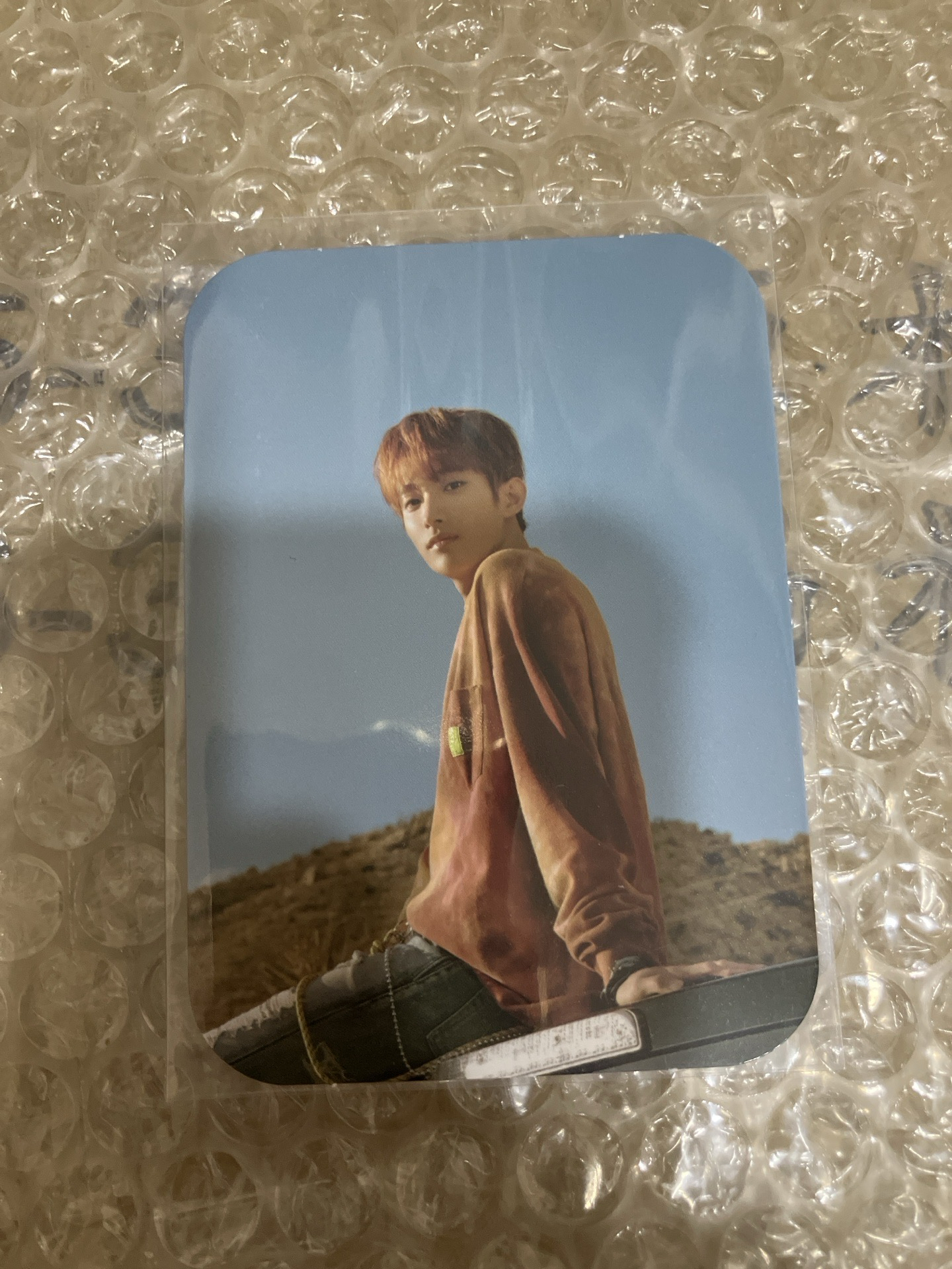 迷七 WVS 碩 特典