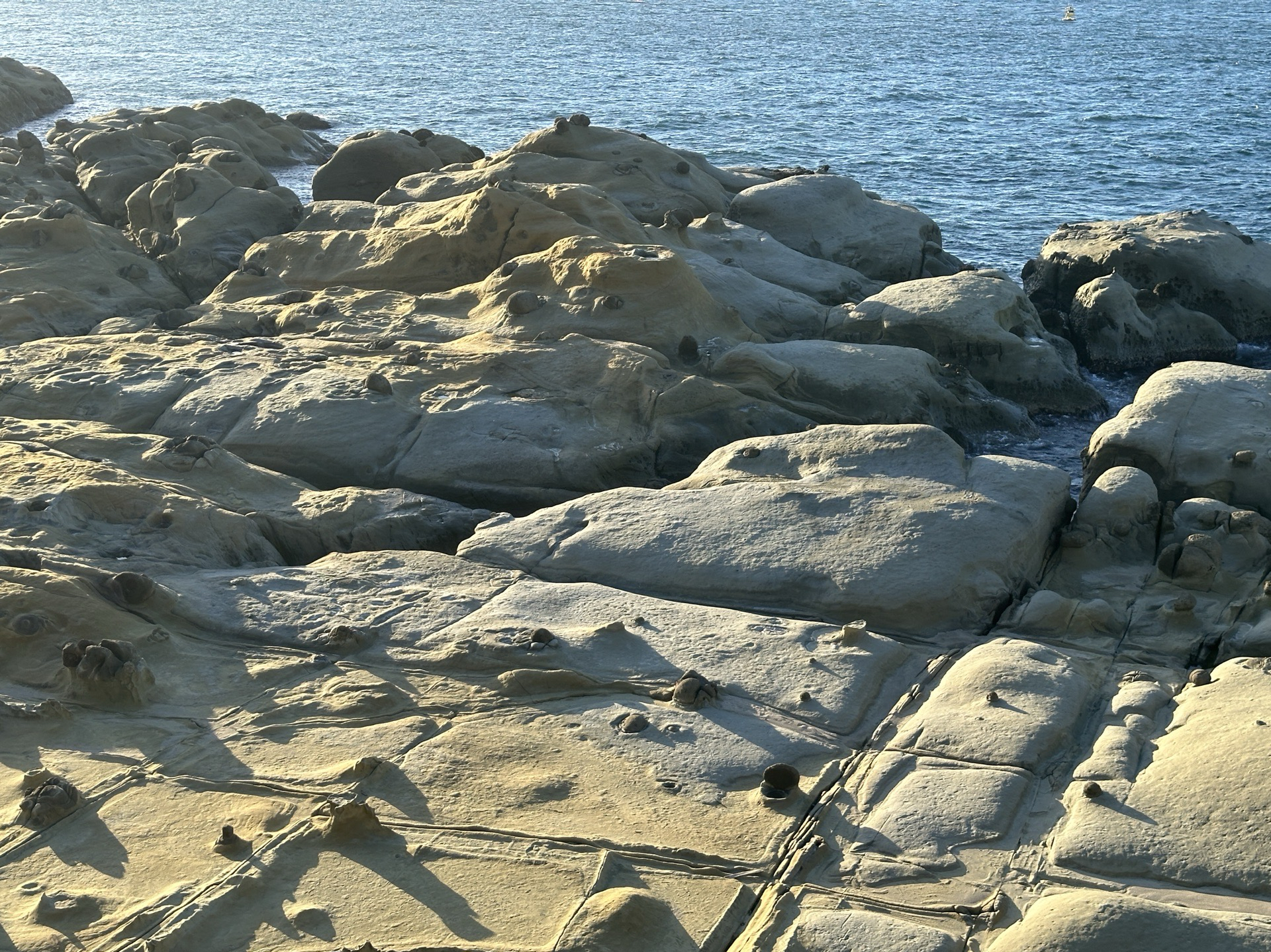 💚綁物區/直出區💚