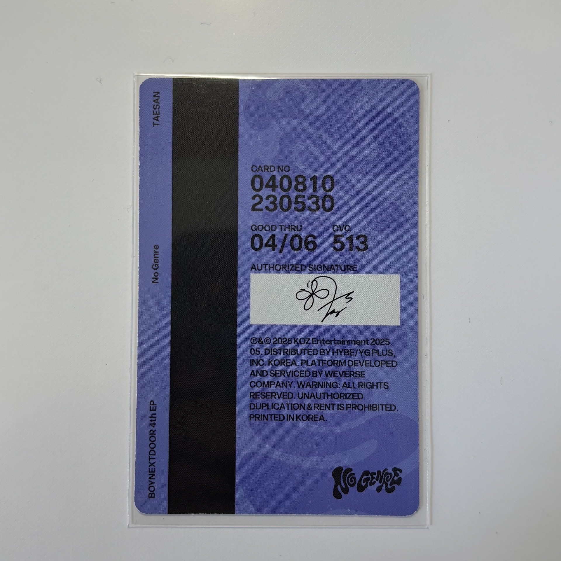 ［NO GENRE］電子專 專輯卡 泰山