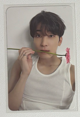 全圓佑克拉盤隨機卡