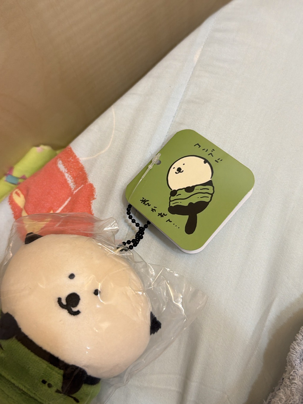 自嘲熊 水族館限定