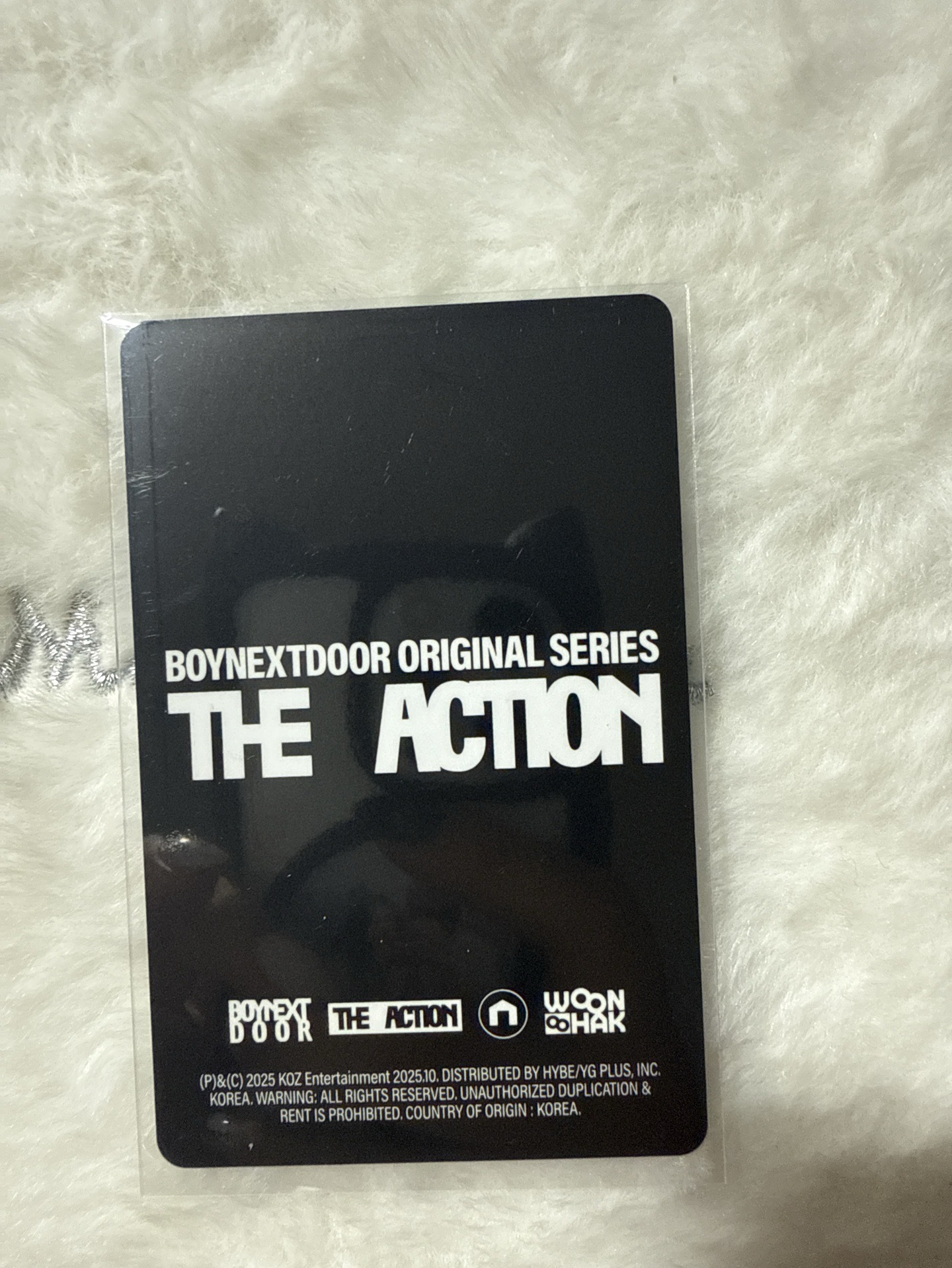 The Action 專卡 雲鶴