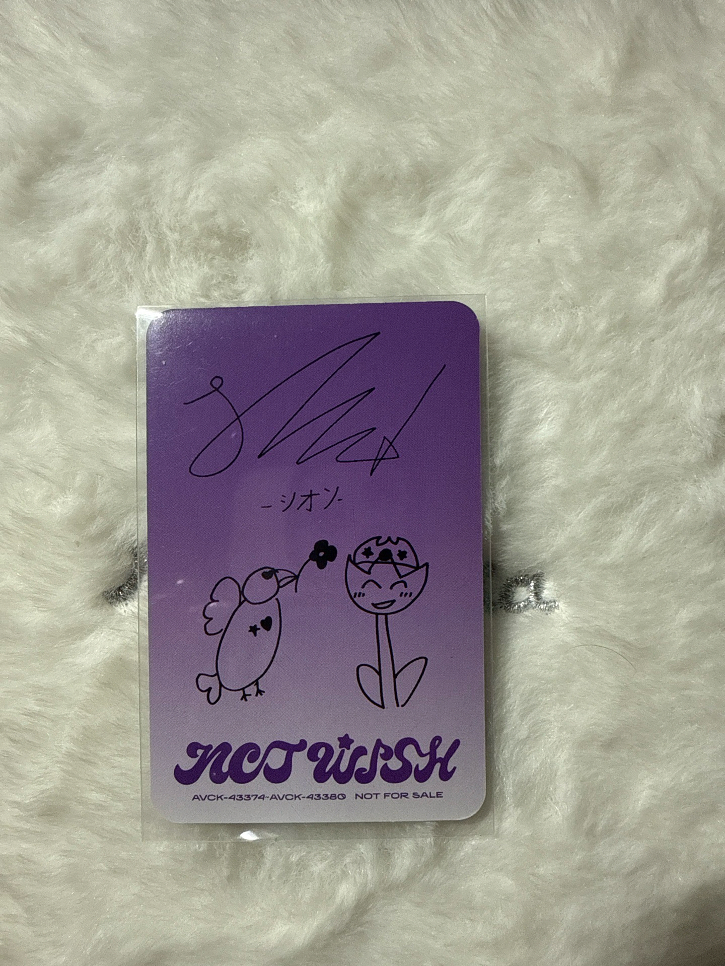 songbord 日專專卡 Sion