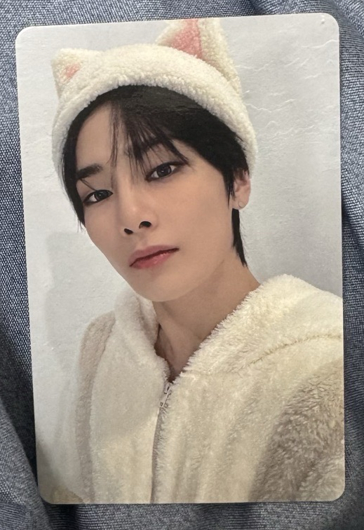 塔店限定特典 靜岡線上 寅