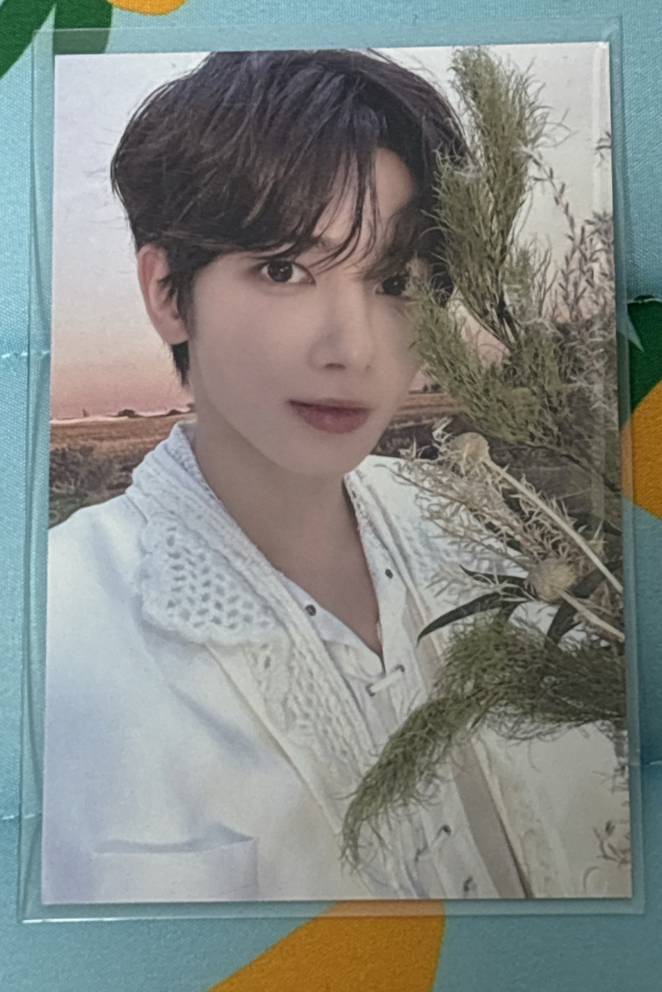 姜泰賢 24’巡迴 入場卡